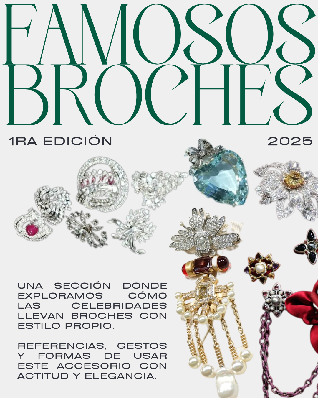 Famosos Broches ✨